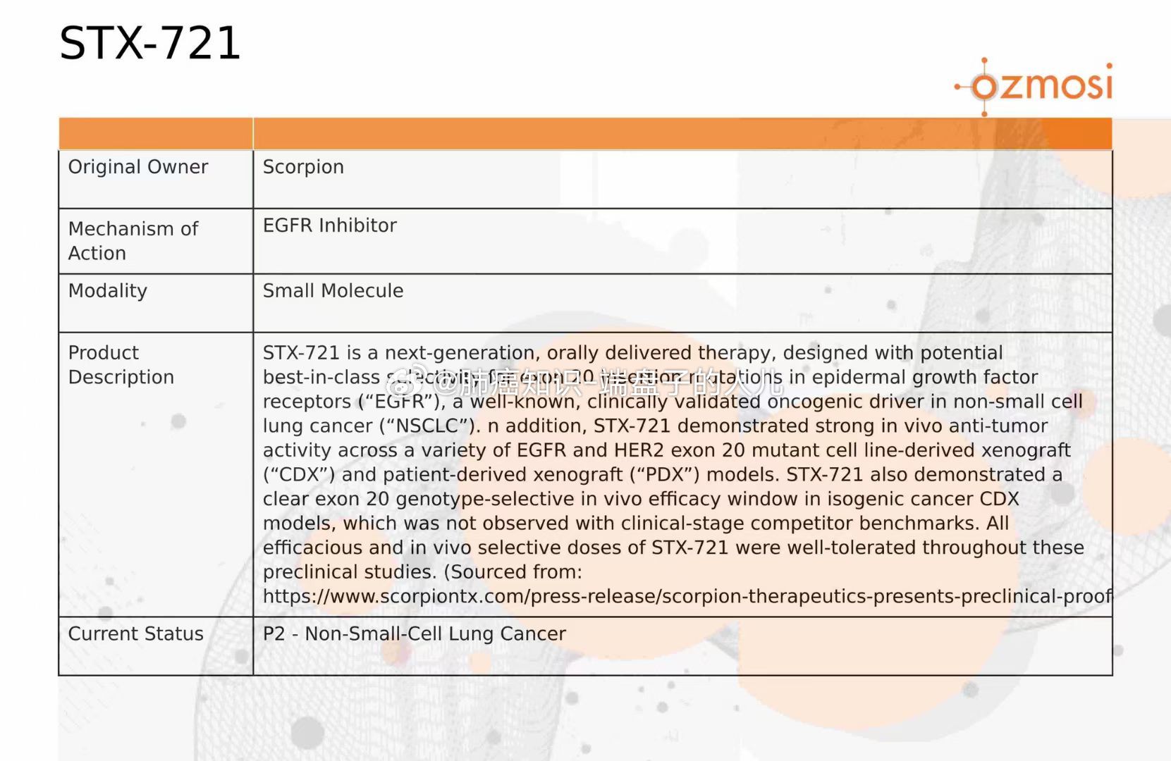 STX最新动态引领行业变革风潮